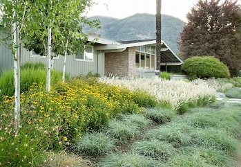 A landscaped front yard