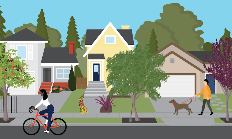 Neighborhood scene with dog walker and biker.
